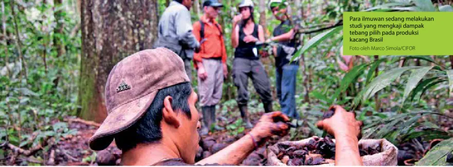 Foto oleh Marco Simola/CIFOR
