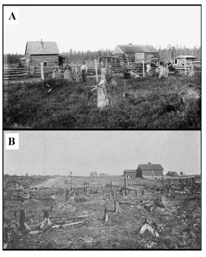 Fig. 9. Promotional materials depicting farmstead development in the northern Wisconsin cutover region