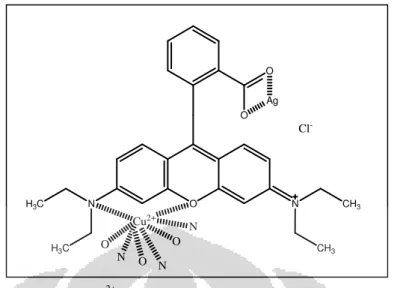 Gambar 2.10 Reaksi yang mungkin terjadi antara nanopartikel perak (Ag)  termodifikasi rhodamin B dengan Cu 2+ 