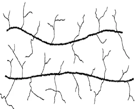 Gambar 2.2 Struktur molekul termoplastik 