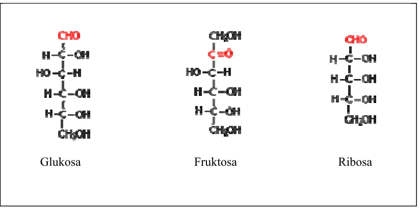 Gambar 2.4. struktur monosakarida 