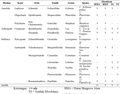 Tabel 6. Jenis Makrozoobentos yang Didapatkan pada Setiap Ekosistem Penelitian di Hutan Mangrove Desa Kayu Besar