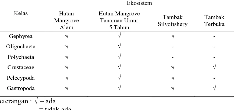 Tabel 8. Penyebaran Kelas Makrozoobentos pada Lokasi Penelitian Ekosistem 