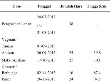 Tabel  1  Data Pertumbuhan Tanaman Padi 