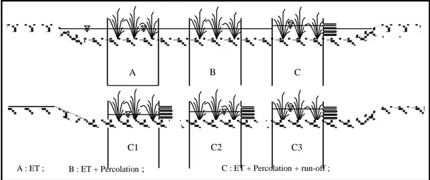 Gambar  1  Teknik Drum untuk menilai evapotranspirasi, perkolasi dan curah hujan efektif  (Dastane, 1974) 