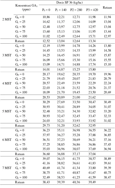 Tabel 1. Rataan panjang tanaman 2-7 MST (cm) bawang merah pada beberapa  konsentrasi GA3 dan dosis SP 36 