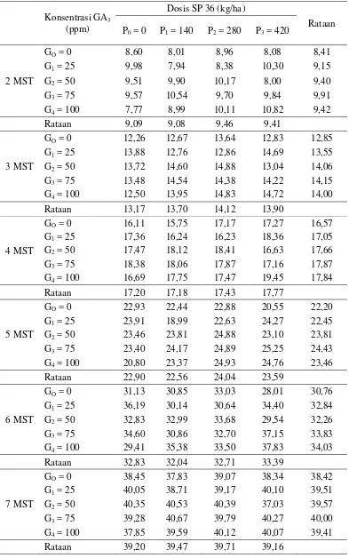 Tabel 2. Rataan jumlah daun 2-7 MST (helai) bawang merah pada beberapa  konsentrasi GA3 dan dosis SP 36 