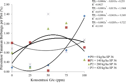 Gambar 4. Hubungan beberapa konsentrasi GA3  dan dosis pupuk SP 36 terhadap          persentase tanaman berbunga per plot 