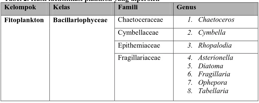 Tabel 2. Hasil identifikasi plankton yang diperoleh    Kelompok 