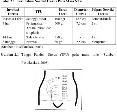 Tabel 2.1  Perubahan Normal Uterus Pada Masa Nifas 
