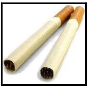 Gambar 1. Dua batang rokok 