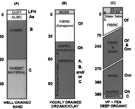 Figure 2. Typical boreal forest soil profiles from three sites: (a) well-drained sand, (b) poorly drained organic materials and clay soil, and (c) very poorly drained fen with deep organic material