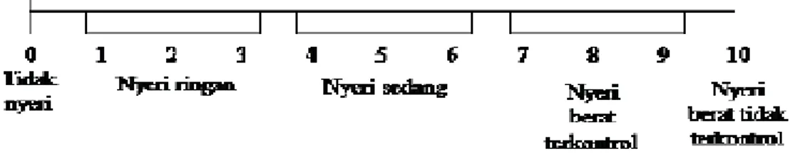 Gambar 1. Skala Pendeskripsian Verbal (Verbal Descriptor Scales) 