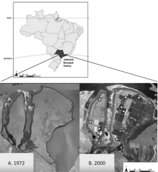 Fig. 1. Anhembi Research Station, located in Sao Paulo state in southeastern Brazil (above)