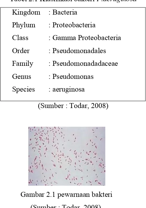 Tabel 2.1 Klasifikasi bakteri P.aeruginosa