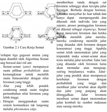 Gambar 2.1 Cara Kerja Semut 