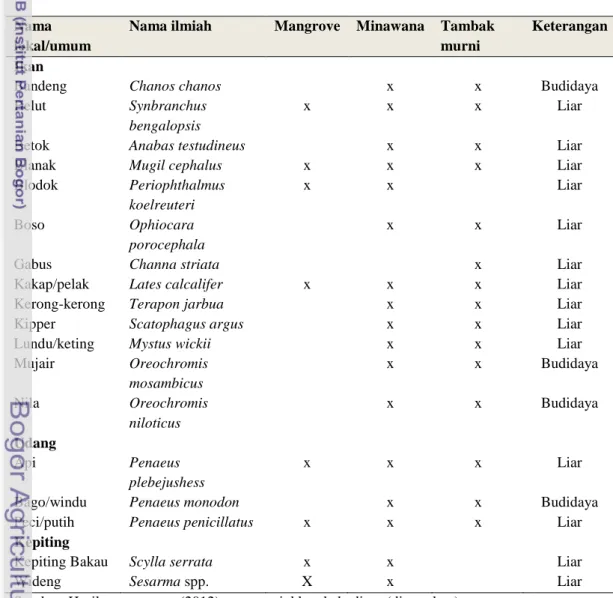 Tabel 11 Jenis ikan dan udang yang ditemukan di ekosistem minawana Nama
