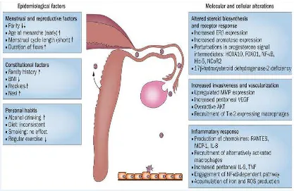Gambar 5. Mekanisme Endometriosis .26 