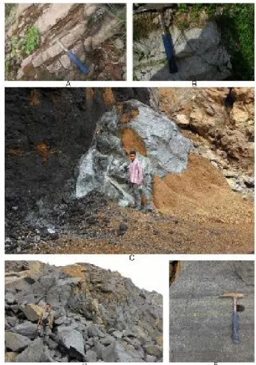 Gambar  7. (A)  Foto  dekat  litologi  penyusun  Satuan  Profiri  Diorit (sheeting  joint);  (B)  Foto  dekat  litologi  penyusun  Satuan  Profiri Diorit;  (C)  Singkapan  Porfiri  diorit  dan  kontaknya  dengan  breksi vulkanik;  (D)  Singkapan  intrusi  