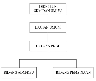 Gambar 4.1. Struktur Organisasi PT. Perkebunan Nusantara I (Persero)   