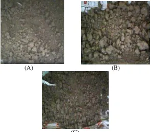 Gambar 5. Struktur Tanah tanah kelas umur 7 tahun (A), Struktur tanah kelas umur 17 tahun (B), Struktur tanah kelas umur 27 tahun (C)