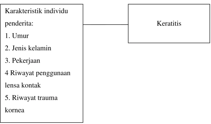 Gambar 3.1. Kerangka Konsep Penelitian 