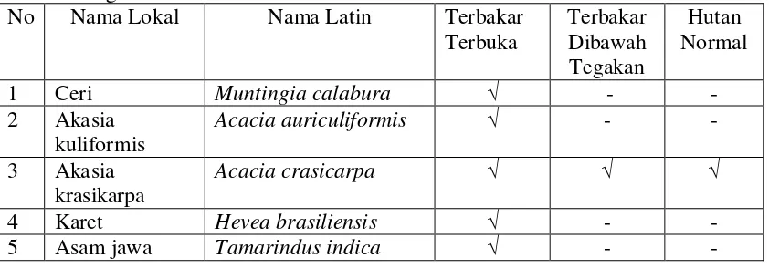 Tabel 3. Jenis-jenis Anakan Pohon pada areal terbakar terbuka, terbakar dibawah tegakan dan hutan normal