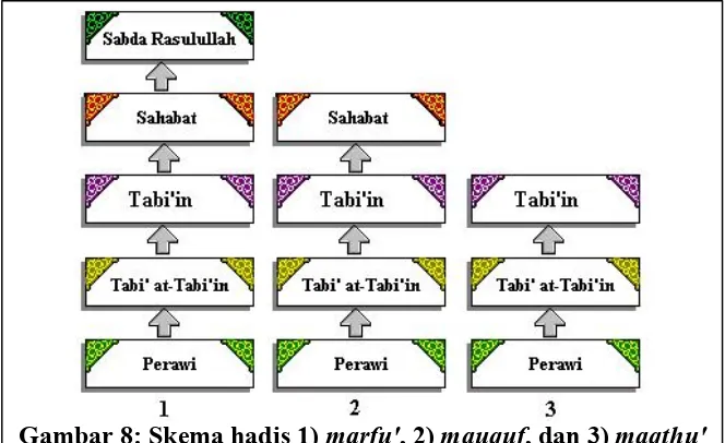 Gambar 8: Skema hadis 1) marfu', 2) mauquf, dan 3) maqthu'