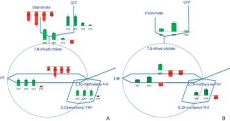 Fig. 8Dynamic response in folate metabolism to carbon (A) and nitrogen (B) catabolite repression on representative backbone pathwaydiagrams