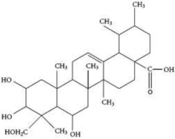 Gambar 2.6.  Struktur Kimia Asam Asiatik (AA) (C 30 H 48 O 5 )  