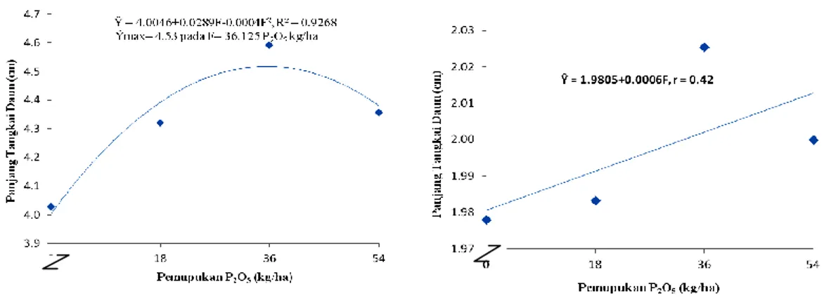 Gambar 1.   Grafik  Hubungan  Pemupukan  Fosfor  dengan  Panjang  Tangkai  Daun  (cm)  Pengamatan Umur 3 dan 8 MST  