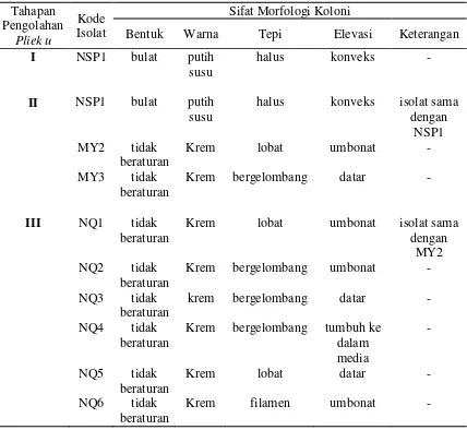 Tabel 4.1  Karakteristik morfologi koloni bakteri yang diduga BAL 