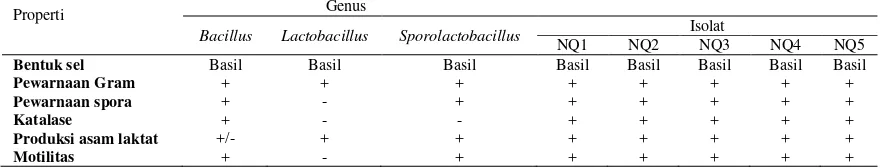 Tabel 4.3 Perbedaan dan persamaan karakteristik utama antara genus Bacillus, Lactobacillus, dan Sporolactobacillus dengan kelima isolat yang diisolasi dari pliek u 