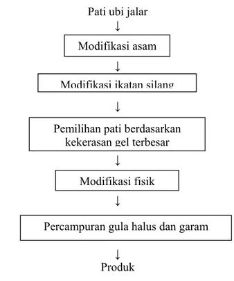 Gambar 3. Diagram alir pembuatan pati termodifikasi secara keseluruhan                       (Modifikasi Erungan, 1991) 