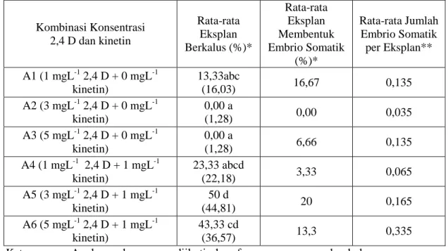 Tabel 2. Rata-rata Pengaruh Eksplan Berkalus pada Berbagai Kombinasi   Konsentrasi 2,4 D  dan Kinetin pada 10 MST 
