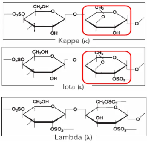 Gambar 2.1 Struktur kimia kappa, iota dan lambda karagenan (Guiseley, 1980). 