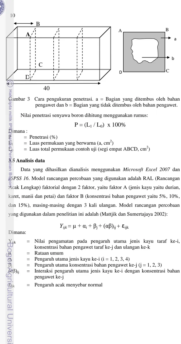 Gambar  3    Cara  pengukuran  penetrasi.  a  =  Bagian  yang  ditembus  oleh  bahan  pengawet dan b = Bagian yang tidak ditembus oleh bahan pengawet