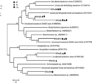 Fig. 5 Phylogeneticrelationships of nosZ genesequences from NT, T5 and T10treatments. Bootstrap values of>50 % (obtained with 1,000resamplings) are shown at thenodes
