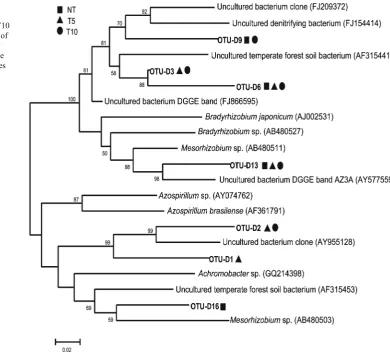 Fig. 5 Phylogeneticrelationships of nosZ genesequences from NT, T5 and T10treatments. Bootstrap values of>50 % (obtained with 1,000resamplings) are shown at thenodes