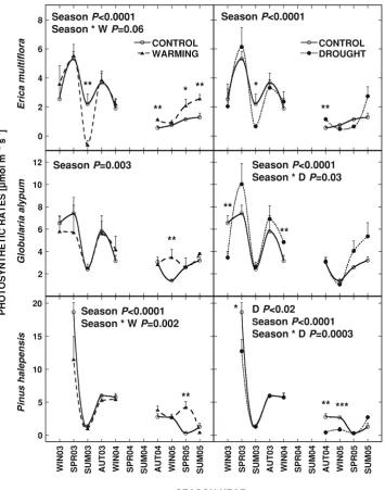 Fig. 3 Seasonal photosynthetic