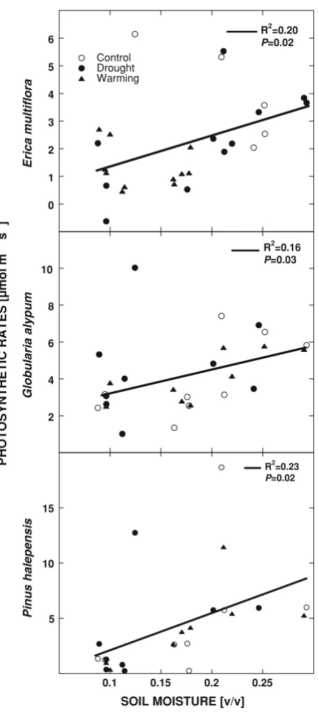 Fig. 4 Relationships between the seasonal photosynthetic rates ofErica multiﬂora, Globularia alypum and Pinus halepensis and themean soil moisture of the week previous to measurements