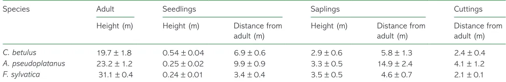Table 1.  Height ± SE of the selected adults, saplings and seedlings and distance ± SE from an adult of each experimental group.