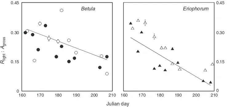 Fig. 6.The proportional carbon loss through respiration in the light to gross photosynthesis in (yof 20R(a) Betula nana andb) Eriophorum vaginatum over the growing season (Rlight : Agross, both variables measured at a common temperature�C and 400 parts per