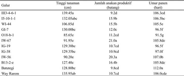 Tabel 2.  Tinggi tanaman, jumlah anakan produktif dan umur panen galur dihaploid padi gogo hasil tanam di lapangan