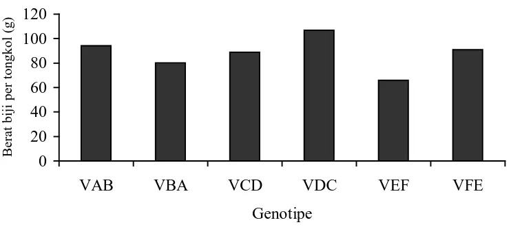 Gambar  5. Histogram berat biji per tongkol dari beberapa genotipe. 
