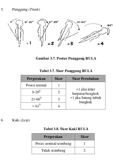 Tabel 3.7. Skor Punggung RULA 