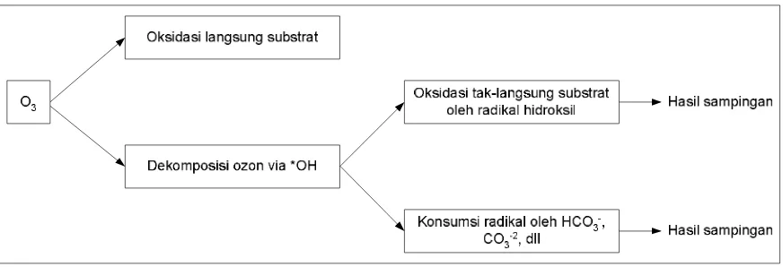 Gambar 1. Reaksi oksidasi senyawa oleh ozon 