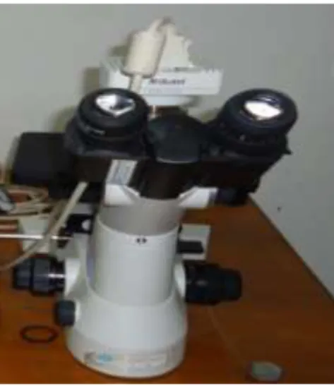 Gambar  8.  Skema  perjalanan  sinar  pada  mikroskop  optik  Alat  optical  emission 