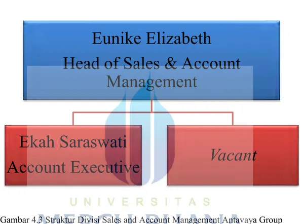 Gambar 4.3 Struktur Divisi Sales and Account Management Antavaya Group 