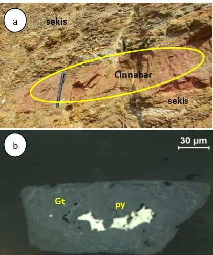 Gambar 2. Singkapan cinnabar pada satuan sekis mika (a) dan fotomikrograf mineral sulfida pirit, goetit (b)